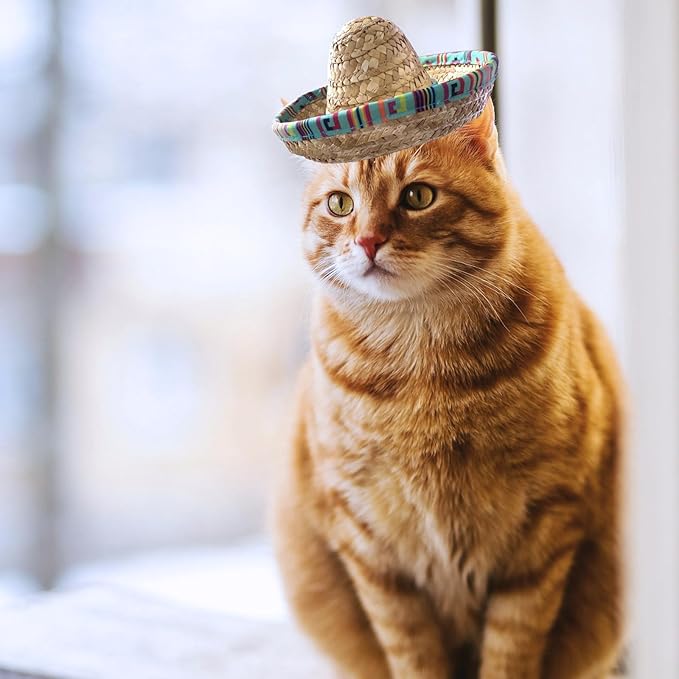Cat Sombrero Hat Cat Hat Pet Sombrero Hat Cinco De Mayo Mexican Pet Straw Cap with Adjustable Chin Strap(Green)