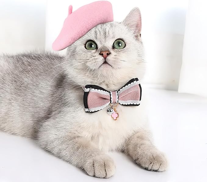 Pet Cat Dog Beret Hat Funny Artist Wool Beret Hat Pet Headwear Fashion Accessories for Winter Birthday Party (Pink)