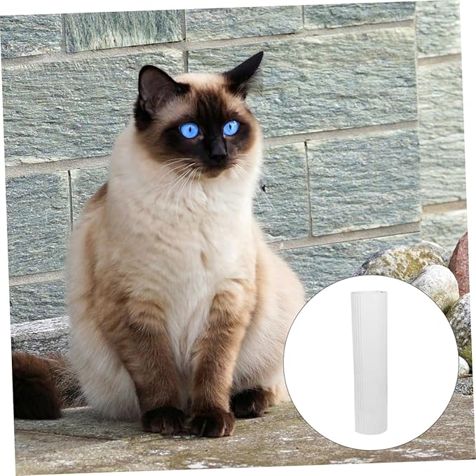 Totority 1set PVC Cat Scratch Protector Self-Adhesive Furniture Protector with PVC for Sofa Bed Chair Table Daily Use Cat Scratch Deterrent