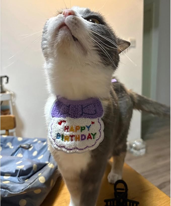 Lasflores Purple Girl Cat Birthday Supplies Set - Kitten Hat, Number Decor & Happy Birthday Banner Outfits