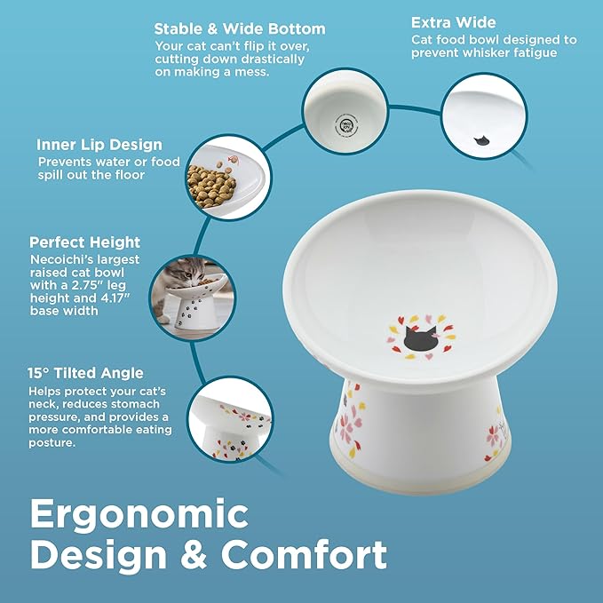 Necoichi Raised Cat Food Bowl – Ceramic Elevated 15° Tilted Bowl for Whisker Fatigue, Dishwasher & Microwave Safe, Non-Slip Anti-Vomiting Ergonomic Design (Sakura Floral, Extra Wide, 1.5-Cup Capacity)