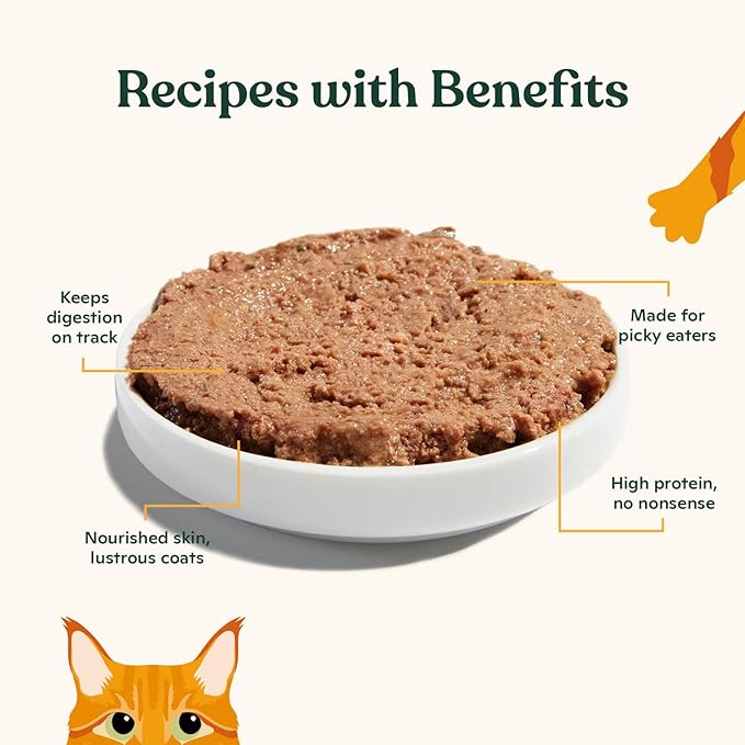 Made by Nacho Premium Wet Cat Food Grain-Free Pate Cans (Turkey & Turkey Liver - 6 Pack, 5.5 Ounce)