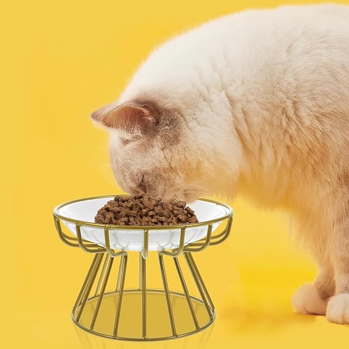 VILLCASE Elevated Ceramic Cat Bowl with Metal Rack Raised Anti-Vomiting Whisker Relief Feeder for Cats Includes Single Fishbone Plate and Gold Iron Stand Feeding and Watering