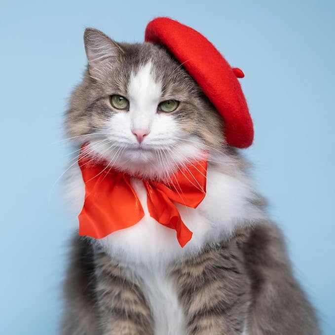 Dog Beret for Small Dogs Cat Doll, Colorful Wool Mini Cap Creative Accessories Costume French Mushroom Artist Fedora Hat Beanies Solid Color Pet Headwear Christmas Hair Accessory Photo Props (Red)