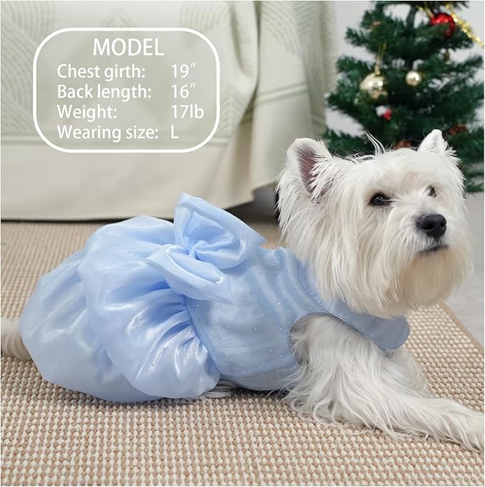 Dog Dress,Pet Wedding Dress Princess Formal Tutu Skirt with Bowknot,Puppy Birthday Party Outfit Apparel Girl for Small Dogs Cats (Blue, Medium)