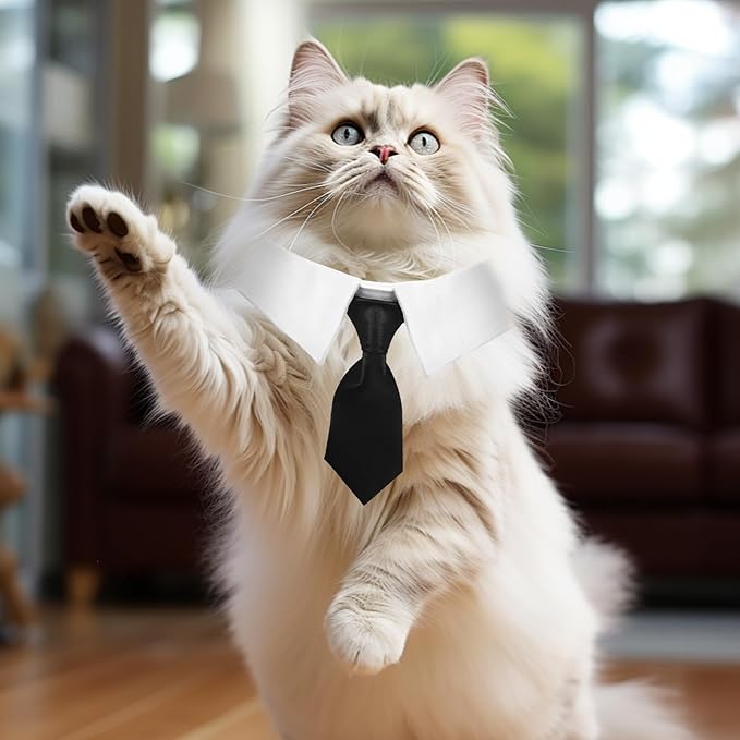 2 Pcs Cat Bow Tie Dog Cat Tuxedo Collar Pet Costume Neck Girth 9.3"- 12" Cats Wedding Bowtie Wedding Dog Bowtie Tie for Cats Small Dogs Puppy Birthday Easter Valentines Weddings Grooming Accessories