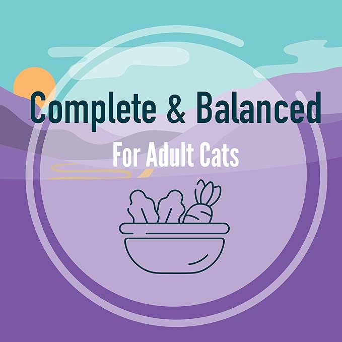 A Strong Heart Split Cup Wet Cat Food, Chicken Entree - 2.6 oz Split Cups, 20 Servings (Pack of 10), Made in The USA with Real Chicken