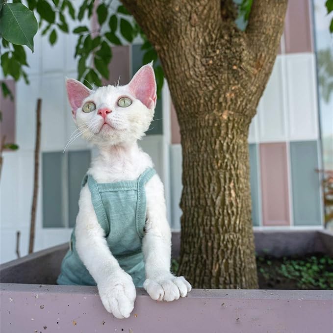 Hairless Cats Solid Cotton Camisole, Breathable Summer Tank Tops for Sphynx, Cornish Rex, Devon Rex, Peterbald, Cat Wear Hairless Cat Clothes Soft Skin-Friendly Cats Apparel Assorted Colors and Sizes