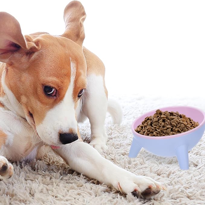 VICASKY Stable Double Pet Bowl Raised Cat Feeder with Anti-Slip Plastic Bowls 15° Tilted Design for Indoor Cats and Dogs, Spill-Resistant Feeding and Watering Station in Cherry Blossom