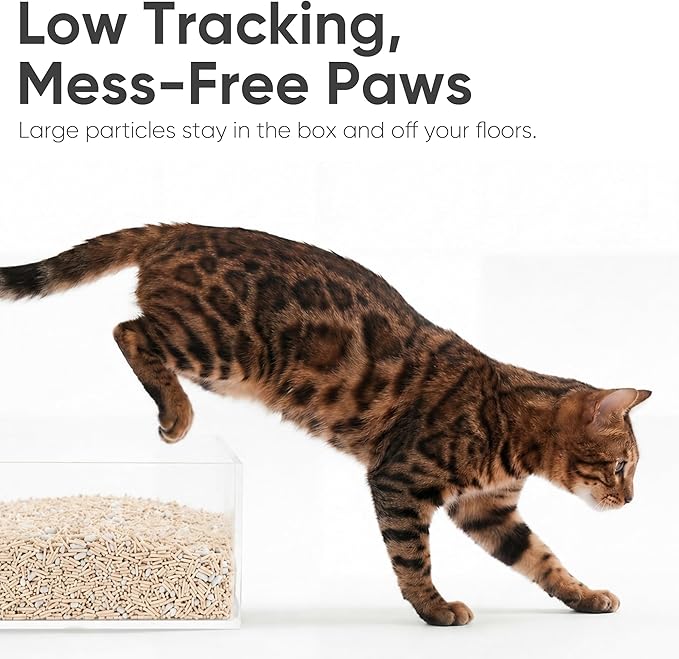 FUKUMARU Tofu Cat Litter, Super Ultra Absorbent, 12 LBS Clumping Cat Litter, Flushable, Natural, Lightweight, Dust Free, Quick Clumping, Low Tracking, Odor Control (6lb x 2 Packs)