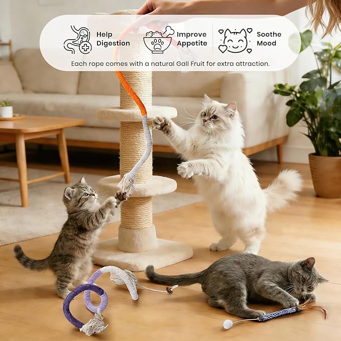 Silvervine Sticks for Cats and Cat Chew Rope Toy for Dental Care Teeth Cleaning&Anxiety Relief,Interactive Catnip Toys for Bored Indoor Cats（9pcs）