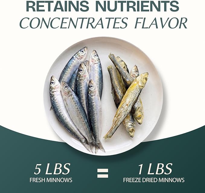 Freeze Dried Minnows Cat & Dog Treats for Training, Healthy High Protein Limited Single Ingredient Pet Food Snacks for Small, Medium, and Large Dogs Cats (Raw Minnows, 8oz)