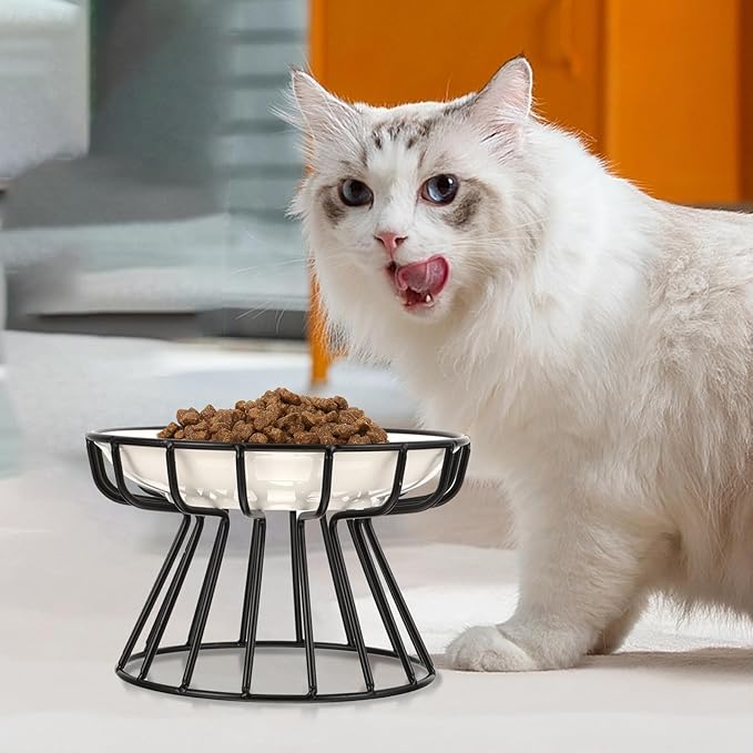 TOYANDONA Elevated Ceramic Cat Bowl Set with Neck Guard, Non-tip Black Iron Rack, Fishbone Plate Design for Indoor Pet Feeding and Watering