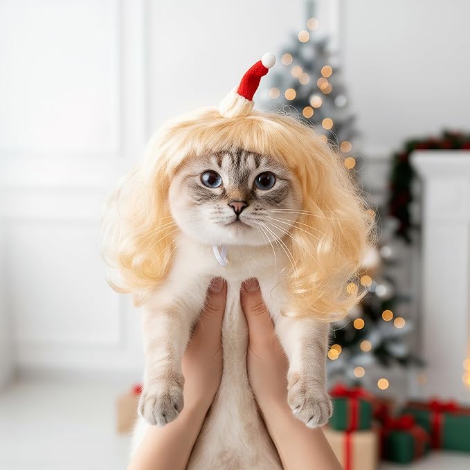 Christmas Dog Cat Pet Wig for Small Medium Large Dog Cosplay Costumes (Gold)