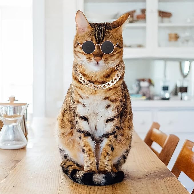 Molain Cat Sunglasses Gold Chain Costume Decorations UV Protection Classic Retro Puppy Retro Sunglasses Faux Photo Props