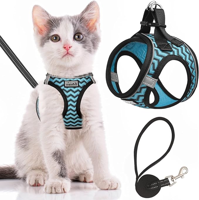 Cat Harness and Leash Escape Proof,Adjustable Soft Mesh Kitten Vest Harness for Walking Reflective Pet Harness for Cat Small Dogs Puppy (Blue, XXS)