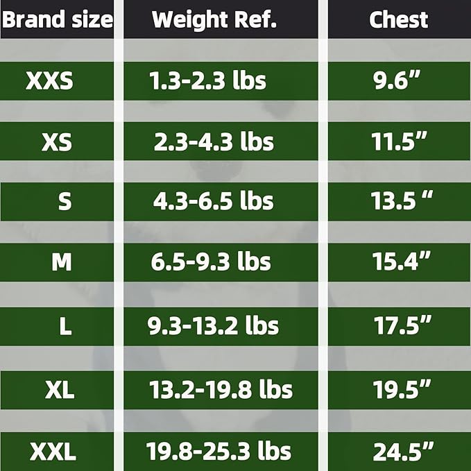 FabriCastle Dog Hoodie Sweater for Small Dogs Boy and Girl, Dog Clothes XS XXS Puppy Sweatshirt, Pet Outfit, Cat Clothing Super Soft Warm Snap On Closure (Light Grey, XX-Small)