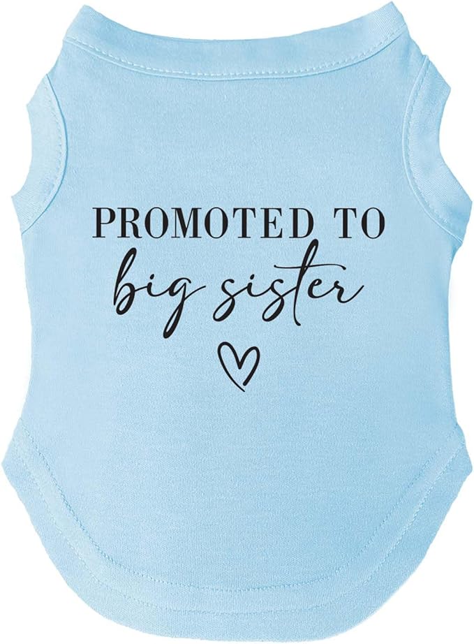 Promoted to Big Sister Boho Dog Tee Shirt | Sleeveless | Pregnancy Announcement | New Baby | Gender Reveal | Photoshoot (Baby Blue, 6X-Large 692)