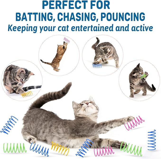 Cat Toy Springs - 80 Pack Colorful Spring Toys for Cats, Bouncy Plastic Cat Spring Toy, Interactive Springs Cat Toys & Cat Toys for Indoor Cats
