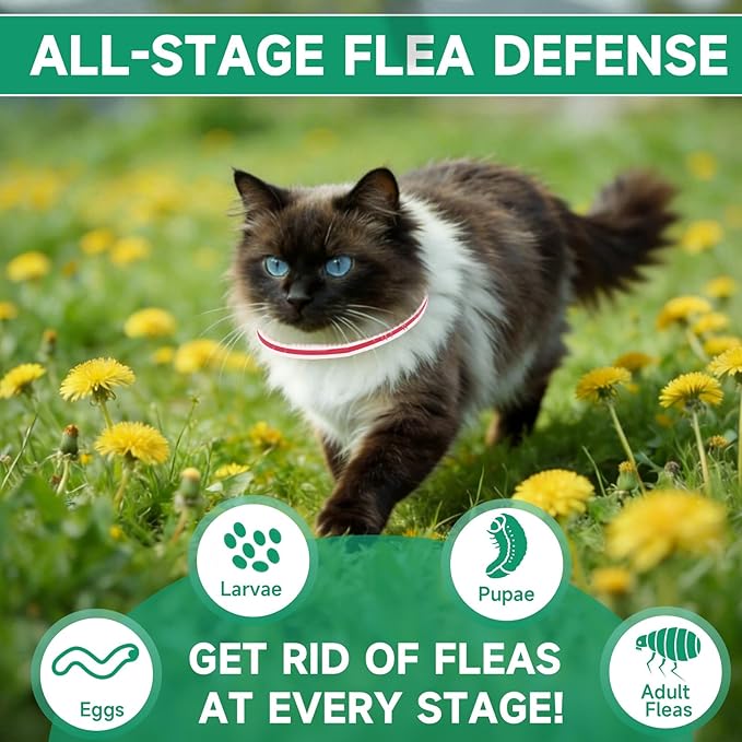 4 Pack Cat Flea Collars, Cat Flea and Tick Treatment, 32 Months Protection Flea and Tick Prevention for Cats, Waterproof Flea Collar for Cats, One Size Fits All, Red and White