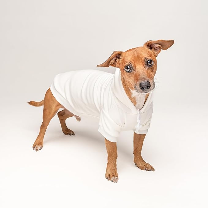 Matza Crumb Collector Dog Hoodie | Fleece Lined |Leash Hole| Passover Jewish Holiday | Funny Protoshoot Prop|Cream, 6X-Large (1246)