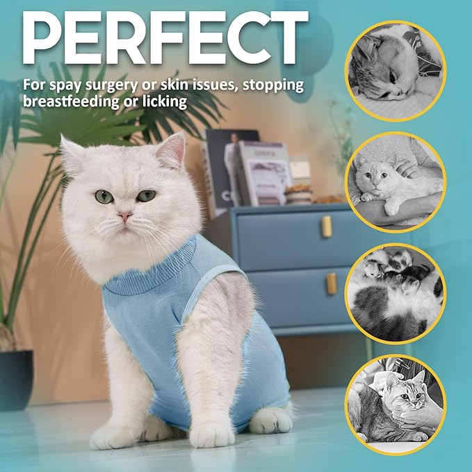 Avont Cat Recovery Suit - Kitten Onesie for Cats After Surgery, Cone of Shame Alternative Surgical Spay Suit for Female Cat, Post-Surgery or Skin Diseases Protection -Blue(L)