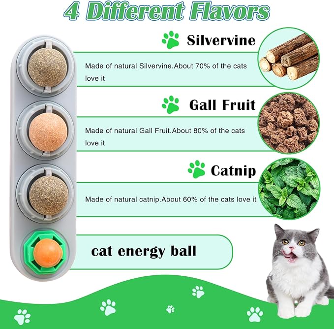 4 Pack Catnip Ball for Cats,Safe Healthy Edible Kitten Chew Toys with 4 Flavor for Cats Lick Dental Teeth Cleaning Wall Treats