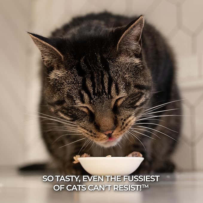 Fussie Cat Premium Tuna with Chicken in Aspic Grain-Free Wet Cat Food - 2.82oz Cans - Case of 24 Cans (Tuna with Chicken in Aspic)
