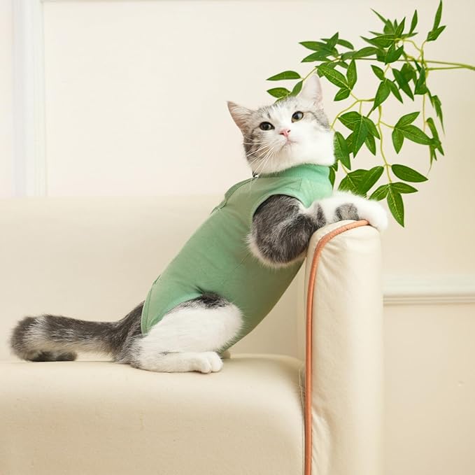 kzrfojy Cat Recovery Suit Cat Onesie for Cats After Surgery Female Male Spay Kitten Neuter Surgical Bodysuit Post Surgery Cone of Shame Alternative Anti Licking (Green, Large)