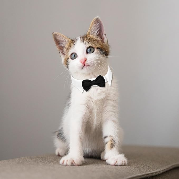 3 Pieces Dog Cat Bow Tie Adjustable Pet Neck Costume Puppy Pets Formal Necktie Collars Cat Dog Tie for Cats Small Puppy Grooming Accessories