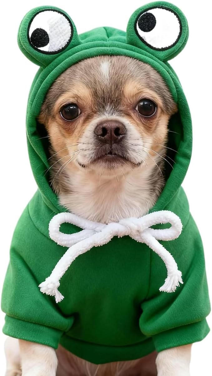 Pet Clothing Dog Transformation Frog Hoodie Autumn and Winter Warm Small Large Dog Method Dou Cat Bullfighting Clothes (Frog,M)