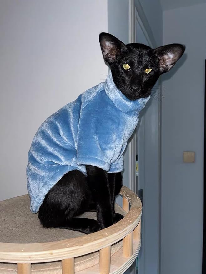 Sphynx Cat Clothes Winter Turtleneck Soft Coral Fleece Cat Clothes Thicken Warm Pajamas Coat for Hairless Cats and Small Cat Apparel with Sleeves (Haze Blue, M（3.8-6lbs）)