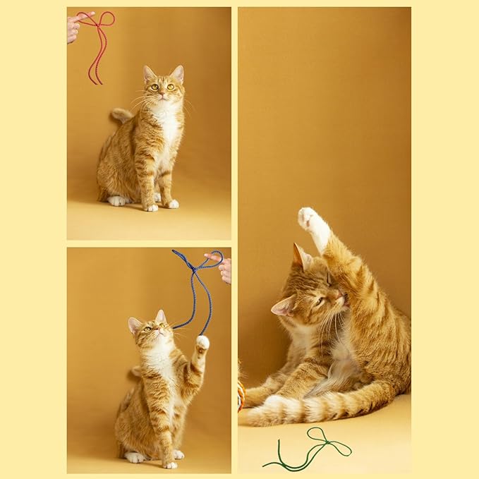 6 Color Cat String Toys Set, Durable for Interactive Games for Swatting, Biting, Hunting, and Active Healthy Play Interactive Cat Toys Indoor Cats