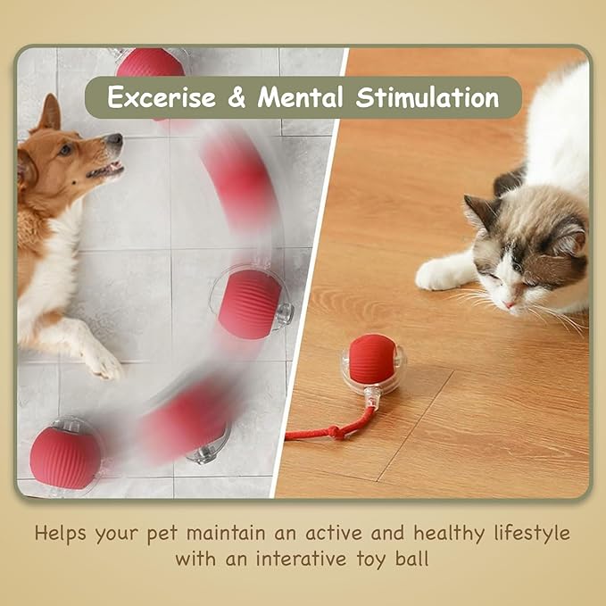 Smart Ball 2.0 - Automatic Cat Toy & Interactive Dog Toys for Small Dogs - Moving Cat Toy Ball for Indoor Cats - Motion Activated, Light Up, USB-C Rechargeable Pet Toy, 2 Speed Modes [Red]