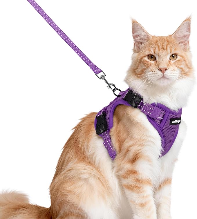 rabbitgoo Cat Harness and Leash, Escape Proof Vest with 3 Adjustable Buckles, Soft Comfortable Kitten Harness, Easy to Wear, Reflective for Safe Outdoor Walking, Medium, Purple