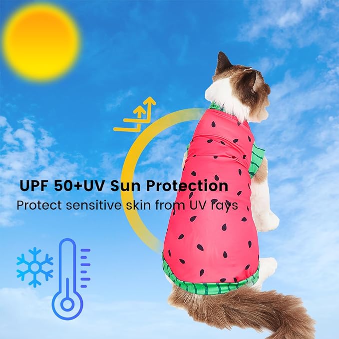 Sphynx Cat Watermelon Shirt &Sun Hat for Summer, Cooling Breathable UPF 50+ Shirt for Cats & Small Dogs Apparel, Shirt and Hat Set for Cats (S (2-3.5lbs))