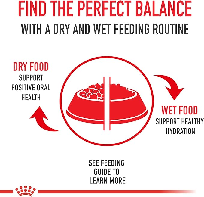 Royal Canin Feline Health Nutrition Indoor Adult & Adult Instinctive Thin Slices in Gravy and Morsels in Gravy Variety Pack Cat Food, 3 oz (Pack of 12)