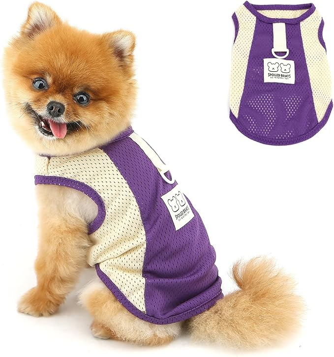 PAIDEFUL Breathable Mesh T-Shirt for Small Dogs Summer Doggie Cool Vest Soft Lightweight Puppy Tee Shirts Sleeveless Pet Tank Top Sweatshirts Cozy Chihuahua Clothes Cat Apparel D-Ring,Purple,L
