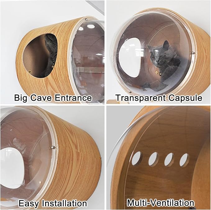 Round Cat Wall Furniture Wall Shelves for Cats Wood Transparent Capsule Breathable for Indoor Large Small Kitten