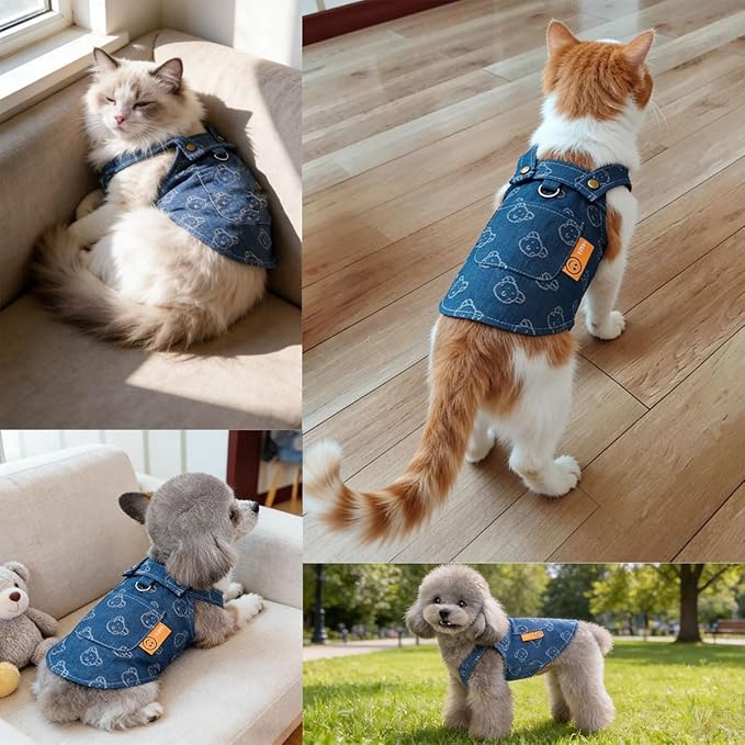 Walking-Ready Pet Jeans - Breathable Denim with D-Ring & Snap Buttons | Matching Bear Outfits for Dog & Cat Couples | Machine Washable (S-XL) (Large, Jacket with Bear)