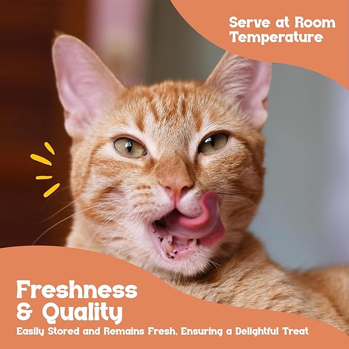 Beefeaters Salmon Pure Cat Treats 1.59oz (12 Pack) | Lickable Squeeze Tube Treats, Grain-Free, No Added Sugar, Real Salmon, Taurine-Enriched, Ideal for Bonding, Seniors, Toppers & Everyday Treating