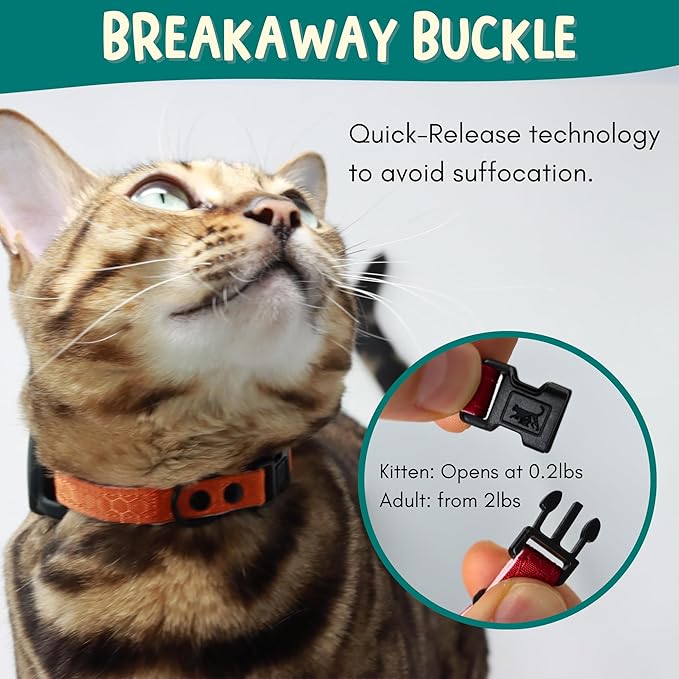 OutdoorBengal Breakaway Cat Collar + Airtag Holder, No Bell - Compatible Silicone Case, Breakaway Airtag Cat Collar for Apple Air Tag - Waterproof Tracking Collars for Boy, Girl, Cats, Kittens (Pink)