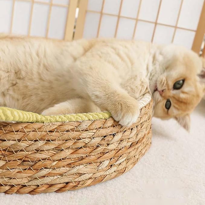 Breathable Cotton Rope Woven Durable Interactive ClawCare FurnitureProtecto Antislip Lightweight Activity Exercise Enrichment Play Kitten Grooming Protection Home Living