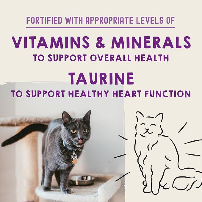 Stella & Chewy's Carnivore Cravings Purrfect Paté - Premium Grain-Free Wet Cat Food - 6 Flavor Variety Pack - High Protein with Bone Broth - Perfect for Picky Eaters - 2.8oz Cans (12 Pack)