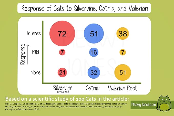 Meowy Janes Matatabi Chew Sticks - An All Natural Silvervine Cat Toy and Cat Treat - Catnip Alternative