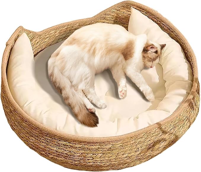Cat Bed Woven Nest with Soft Cushion Pillow, All Season Pet Sleeping Basket for Kitten Puppy Dog, Round Cat House Resting Scratching Furniture Indoor