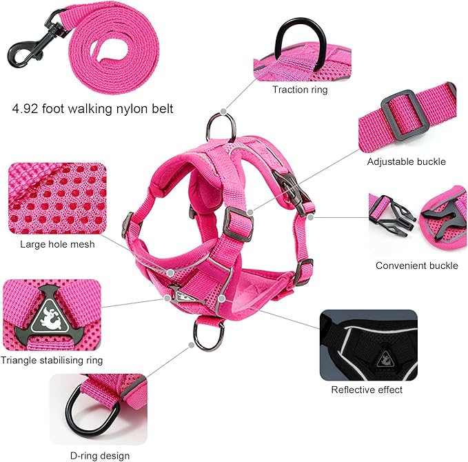 Large Cat Harness and Leash Set for Walking - Escape Proof Adjustable Vest, Reflective Breathable Mesh with 4 Buckles for Big Cats
