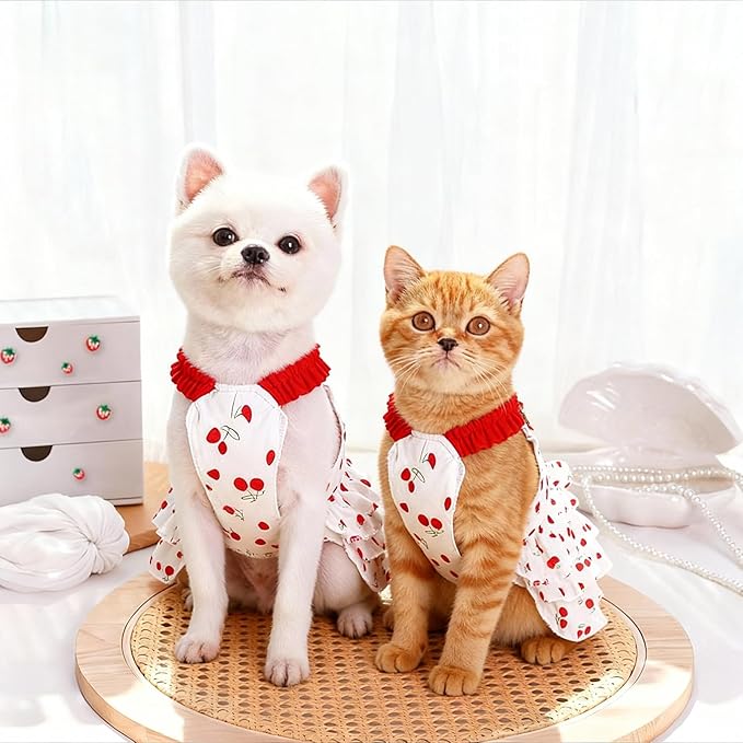 pet Clothes for Dog cat Sweet and Cute Girl (X-Large)