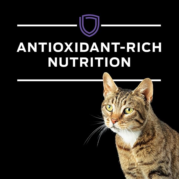 Purina Pro Plan Veterinary Diets EN Gastroenteric Feline Formula Dry Cat Food - 10 lb. Bag