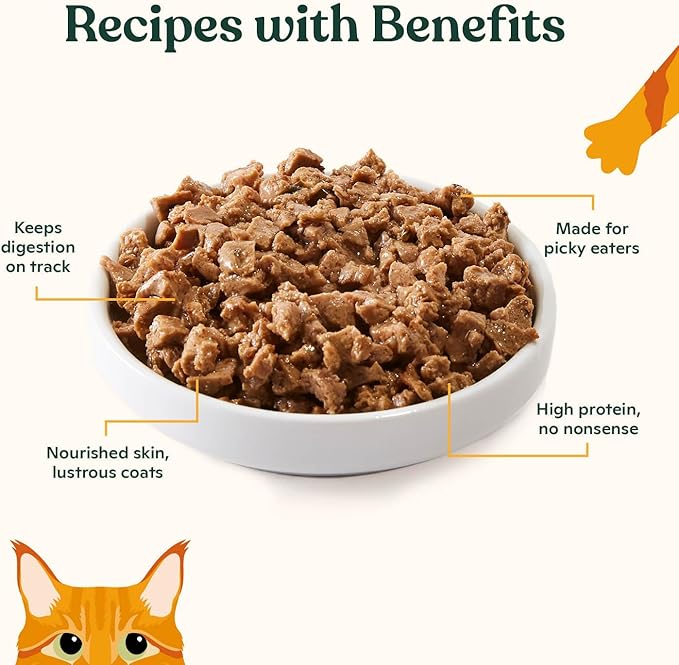 Made by Nacho Premium Minced Wet Canned Cat Food with Hydrating Bone Broth 5.5oz (12 Packs) (Variety Pack (Turkey & Turkey Liver, Chicken & Herring, and Salmon & Sole))